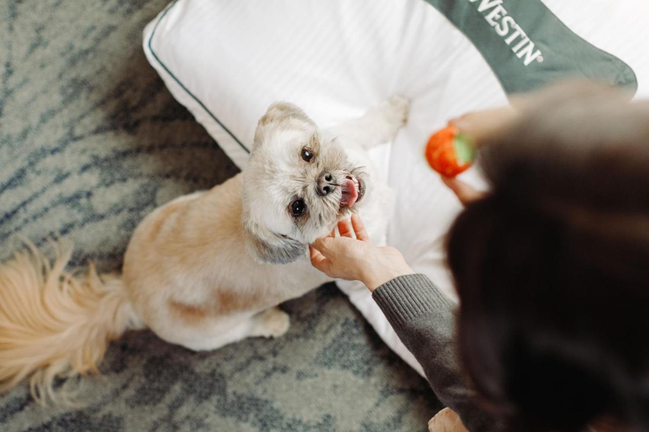 The Westin At Times Square New York
