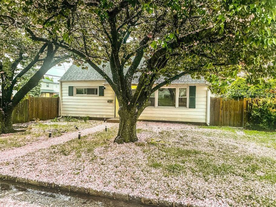 Villa Entire 3bdr W/parking, Backyard, Firepit, Bbq New York