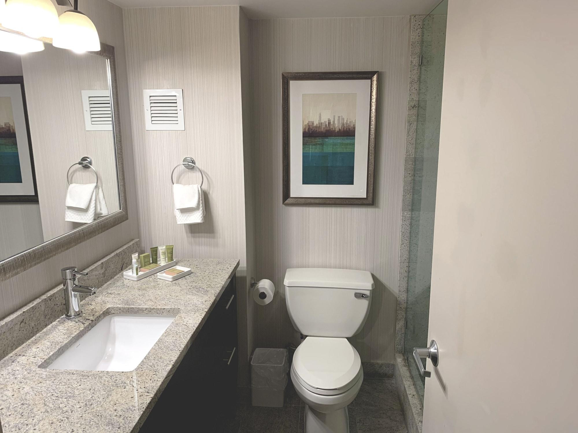 Hilton Jfk Airport Hotel