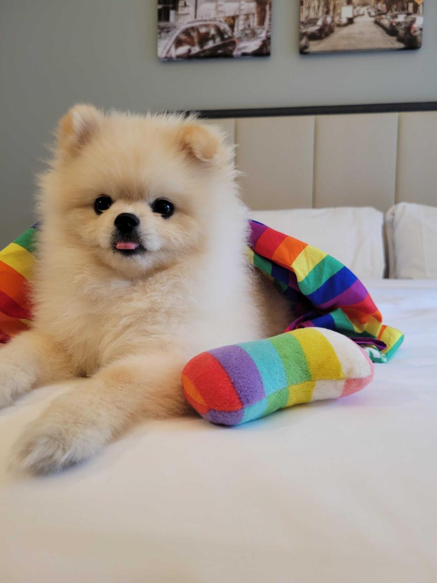 Citadines Connect Fifth Avenue Hotel