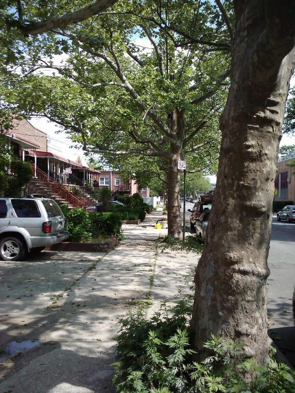 Exquisite Guest house