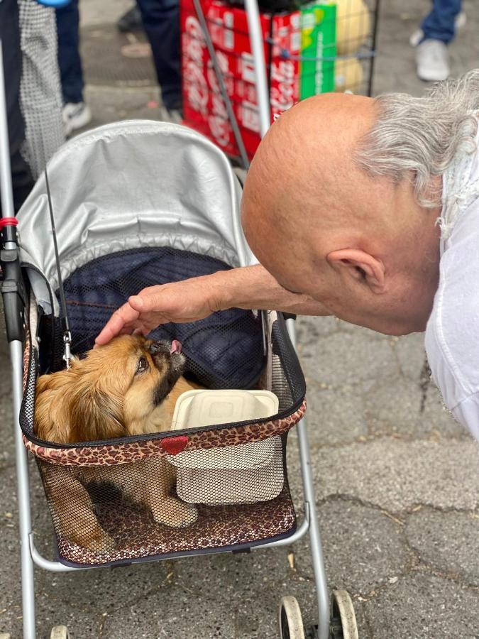 Homestay Spirit Retreats