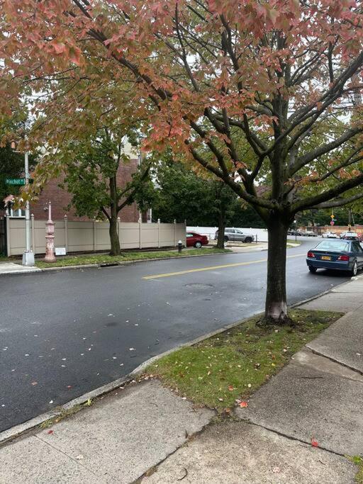 Apartment Morris Park Area New York