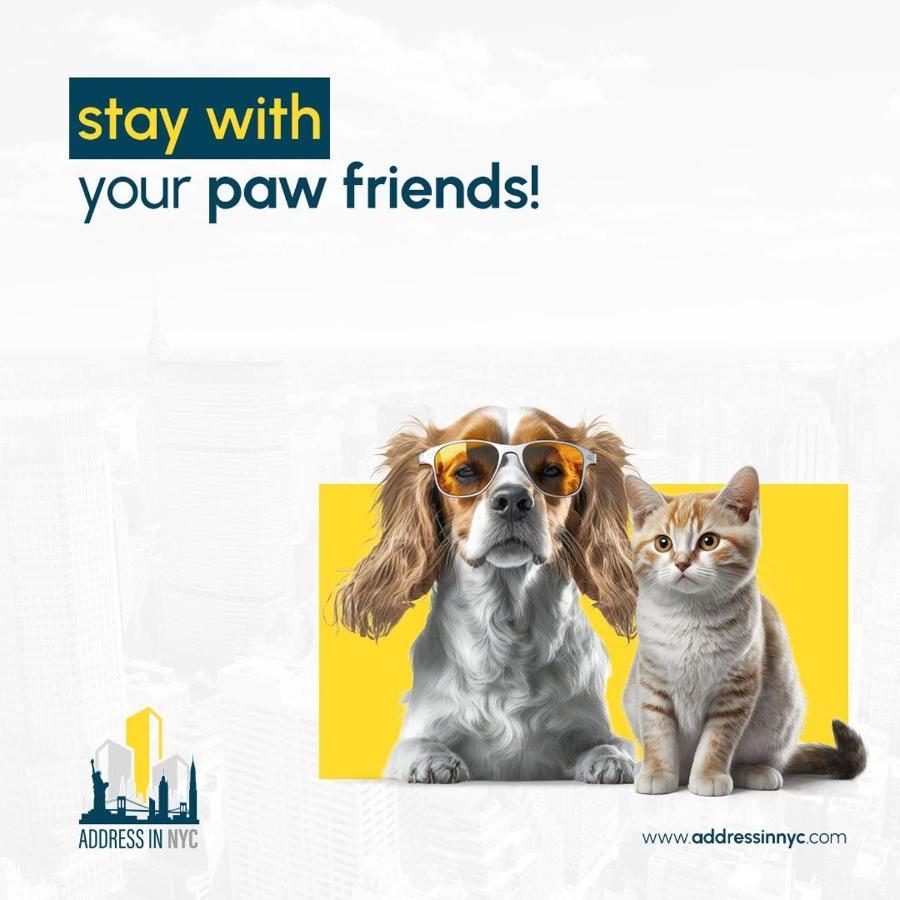 Living At Columbia Apartment New York