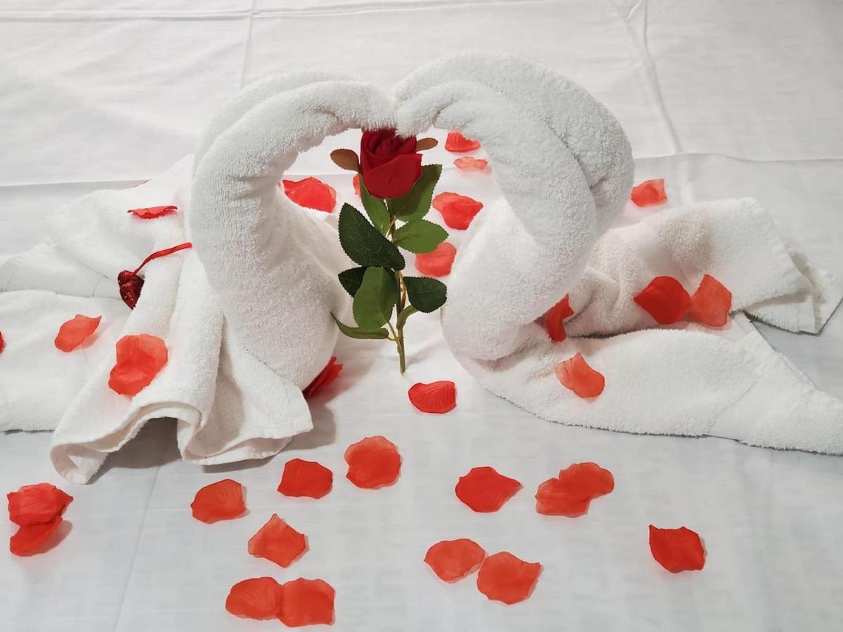 Apartment Lovely 2 Bedroom With 2 Entrance And Parking With A Fee *