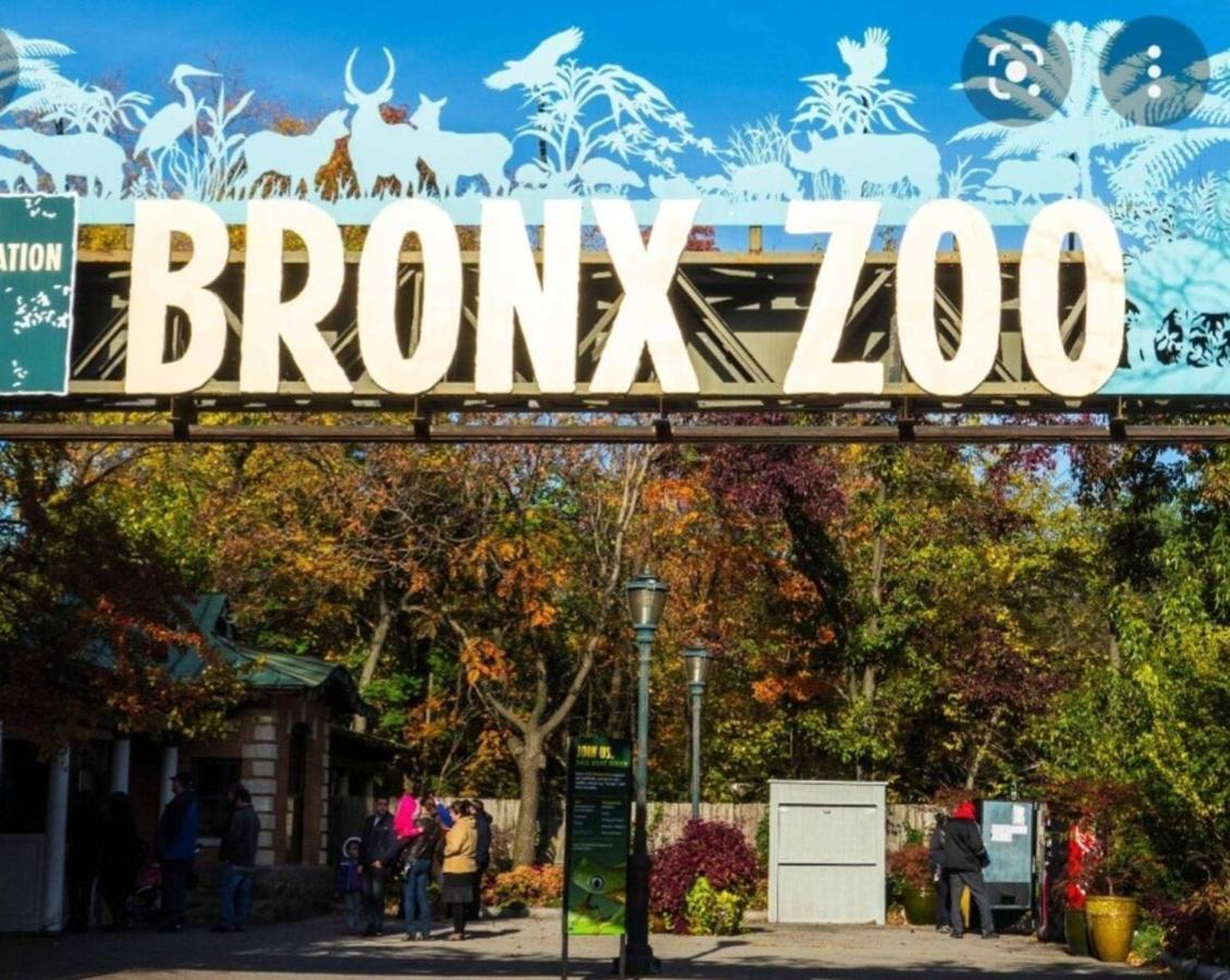 Apartment Lovely 2 Bedroom With 2 Entrance And Parking With A Fee New York