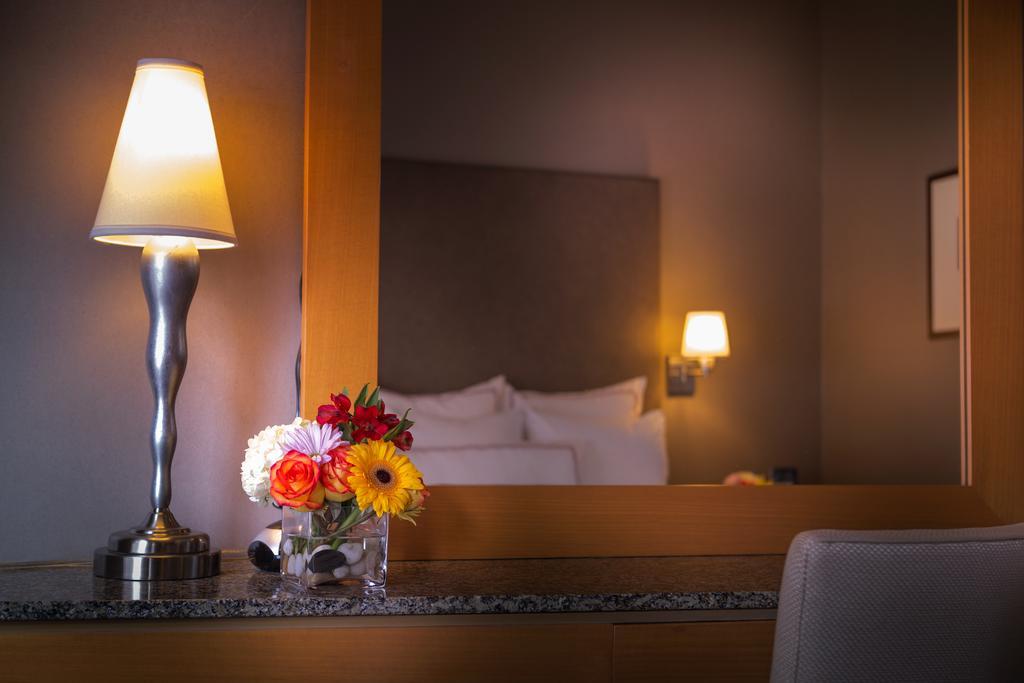 Giraffe By Library Collection New York