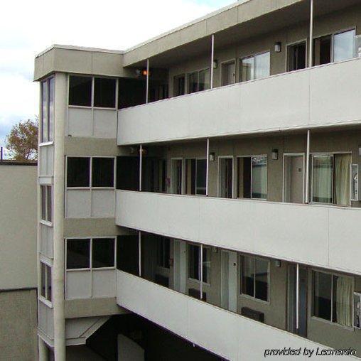 Oasis In Brooklyn 2* New York