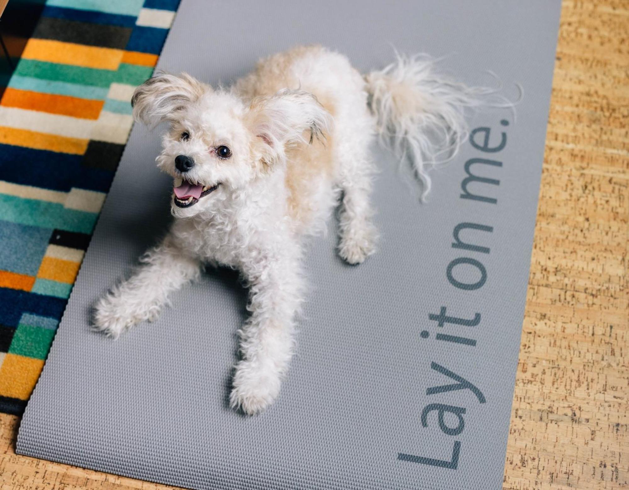 Hotel Even - Midtown East By Ihg New York