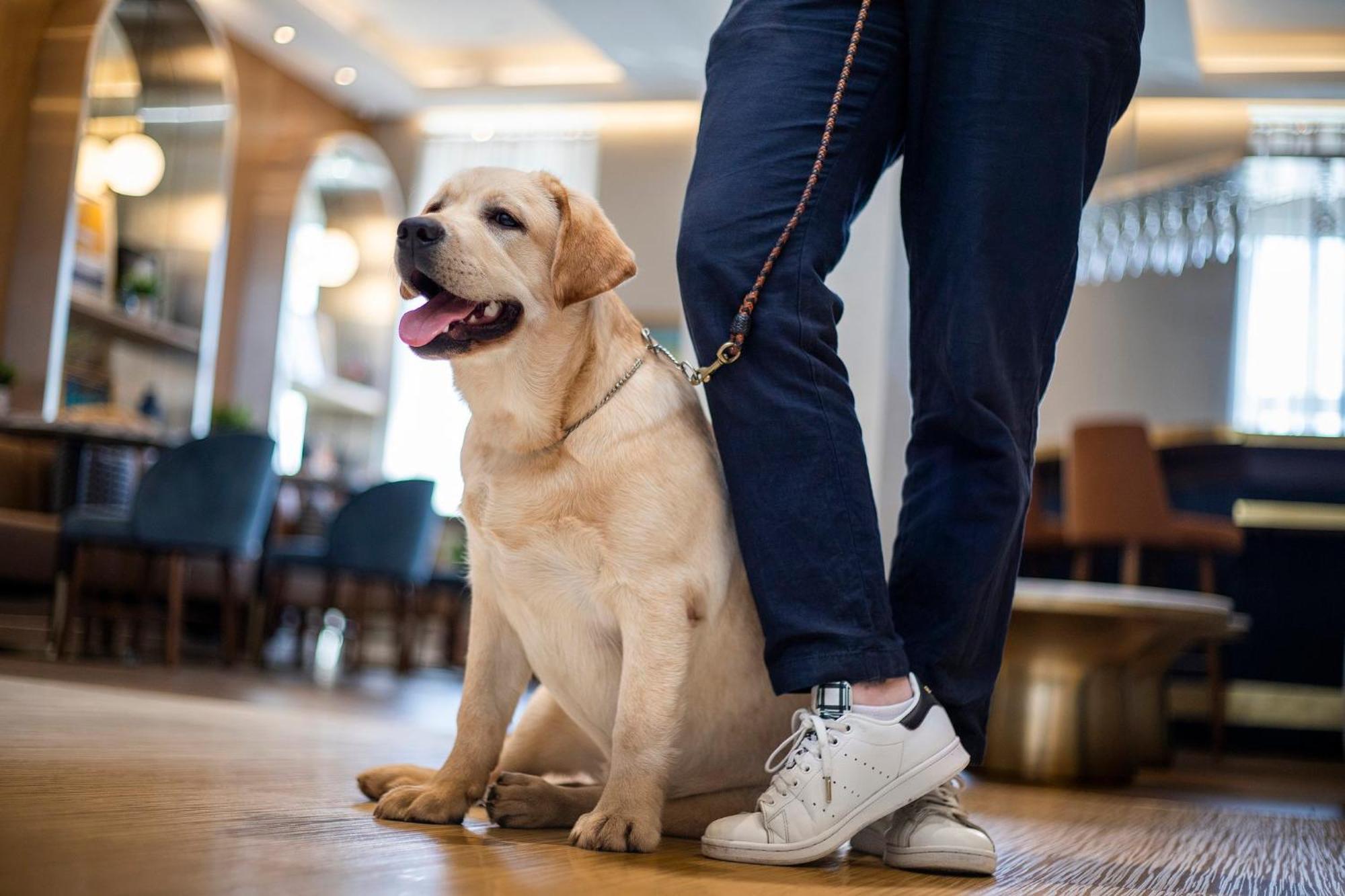 Voco Fiorello - Laguardia Airport By Ihg 4* New York