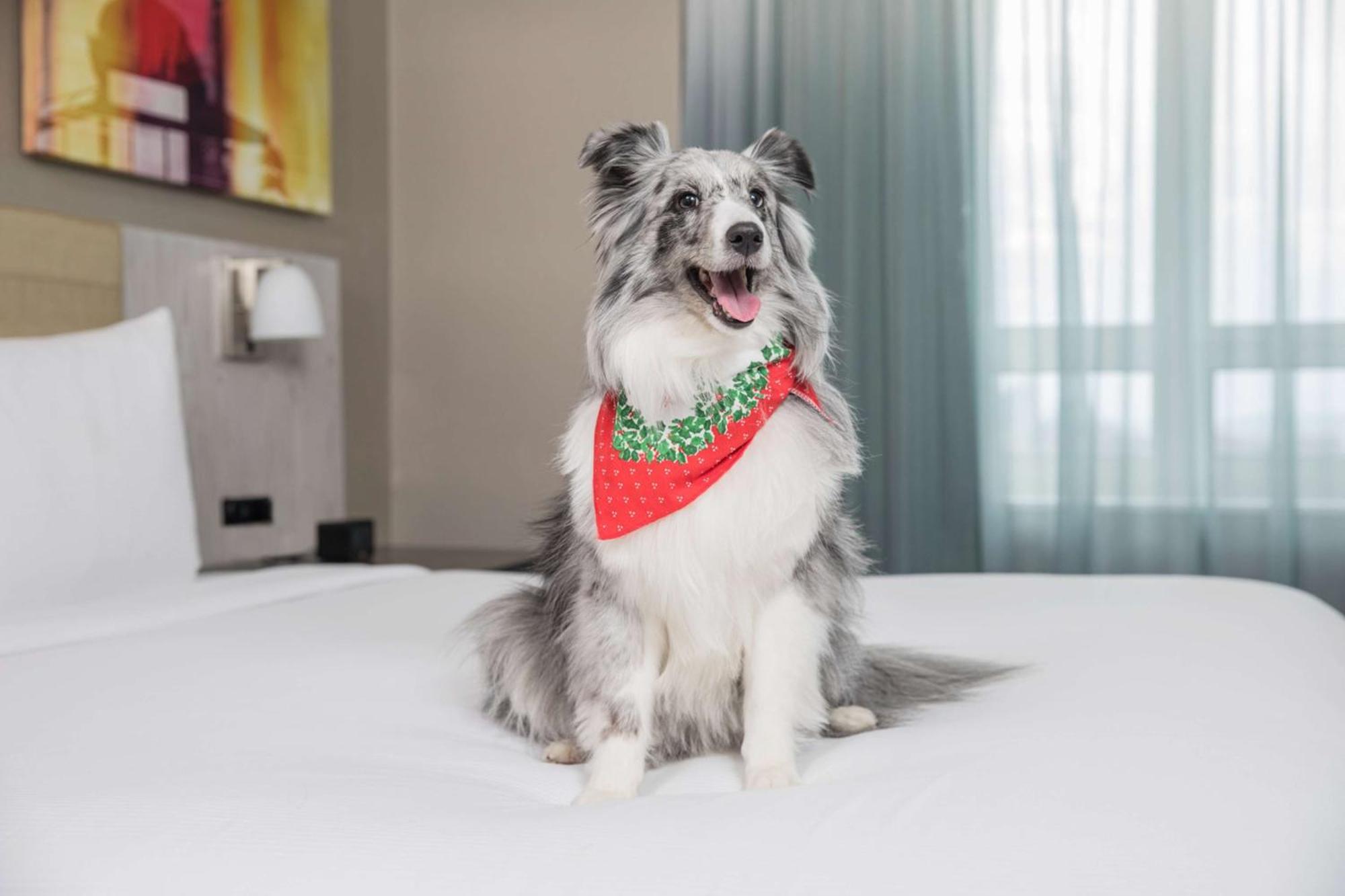 Hotel Doubletree By Hilton New York Times Square West New York