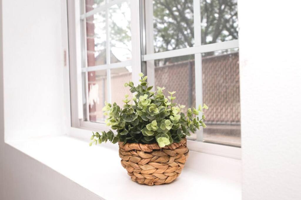 Tonel Paradise 1br Private Entrance Near Jfk *