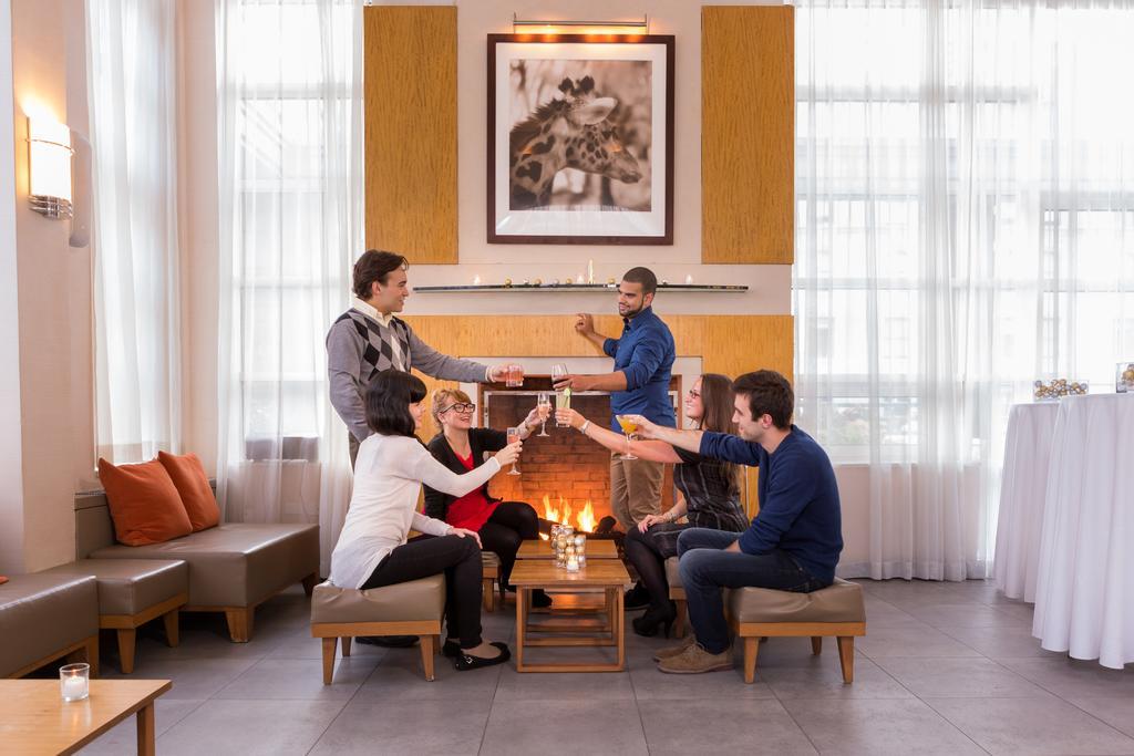 Giraffe By Library Collection New York