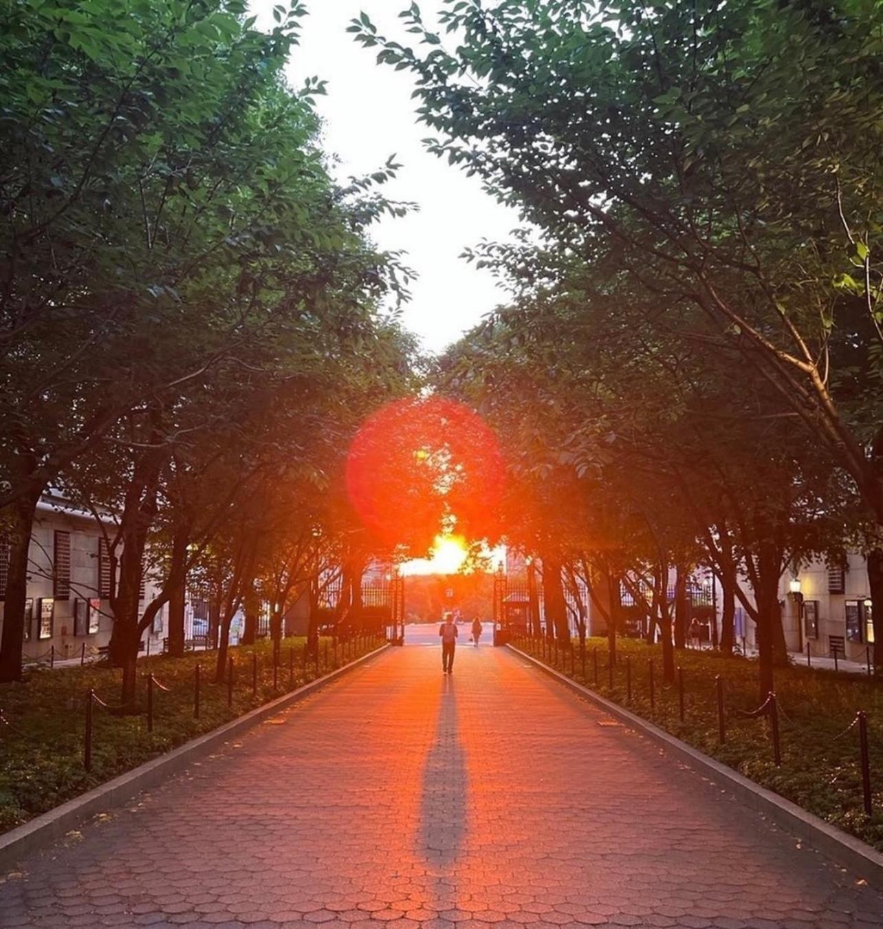 Sunny On Manhattan's Upper West Side New York