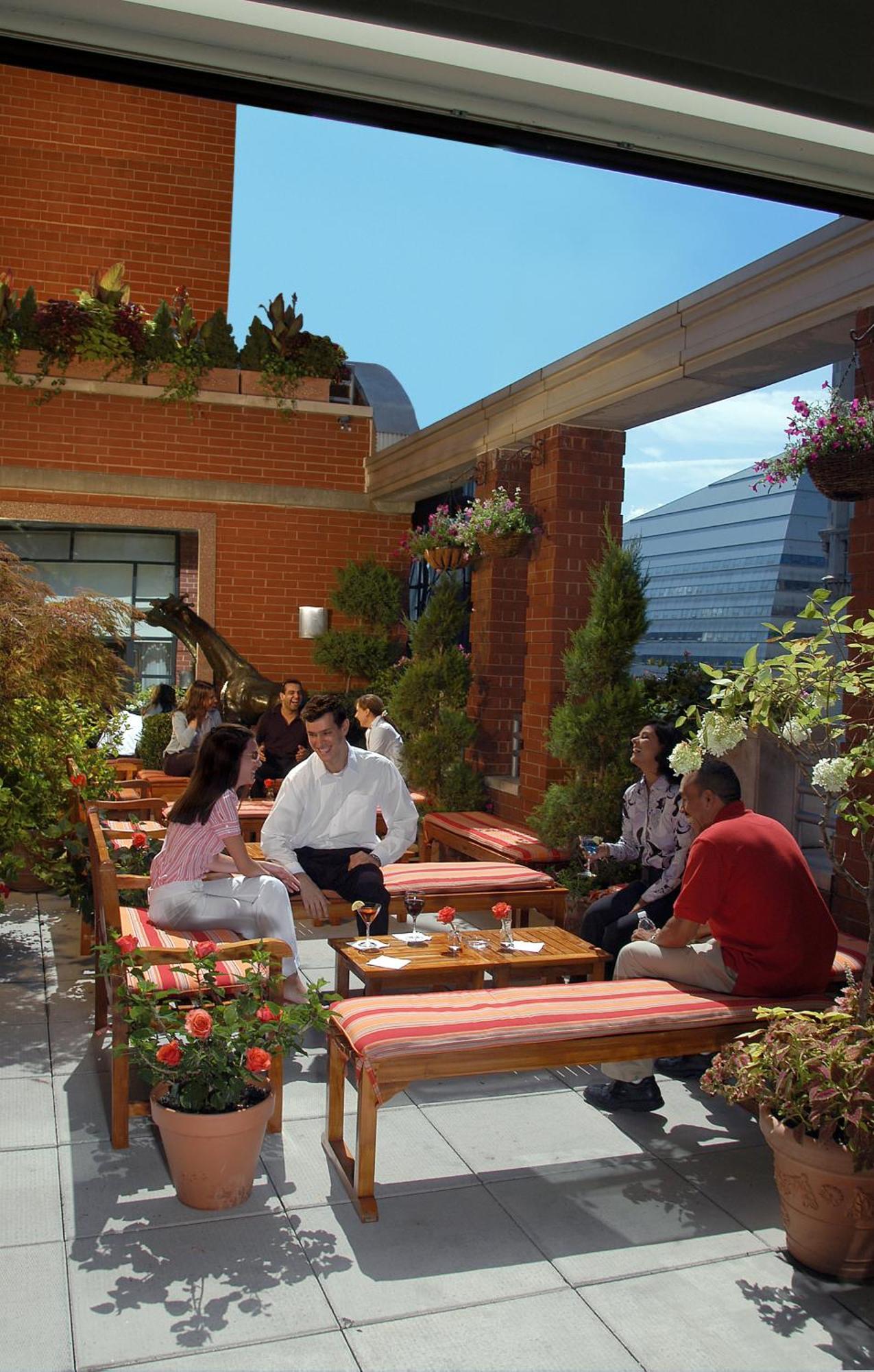 Giraffe By Library Collection