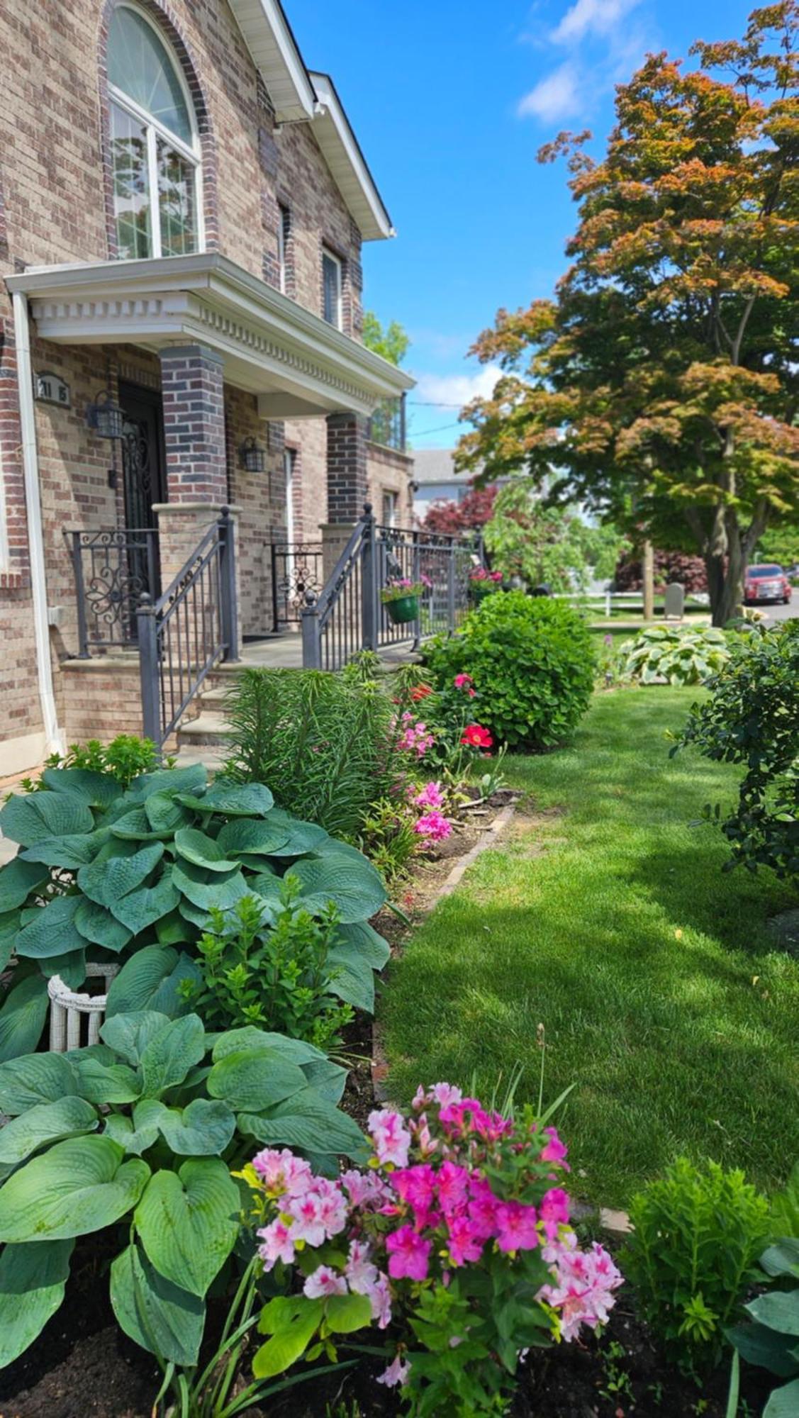 Luxury Hotel-style In Queens, Homestay