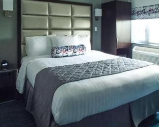 Hotel Umbrella Bronx