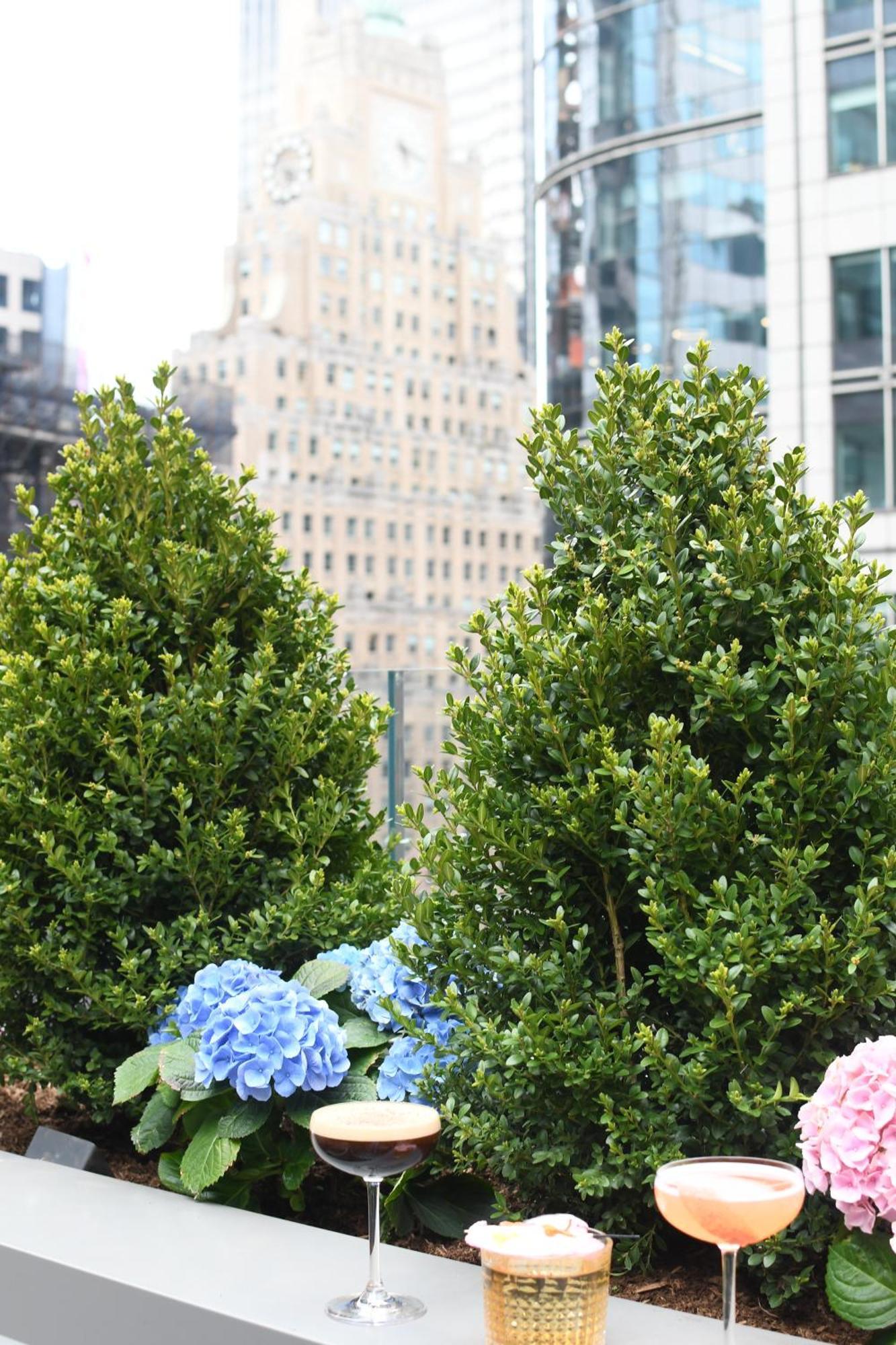 Hotel The Knickerbocker