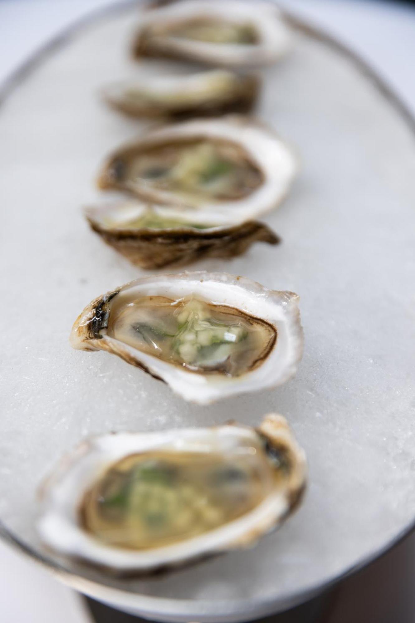 Hotel The Evelyn Nomad New York