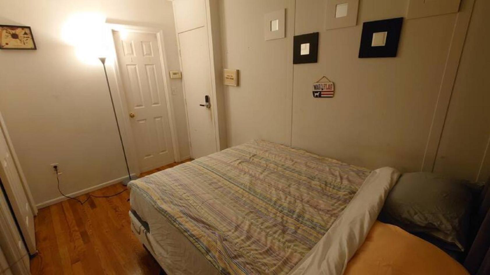 Friendly In Williamsburg Brooklyn * New York