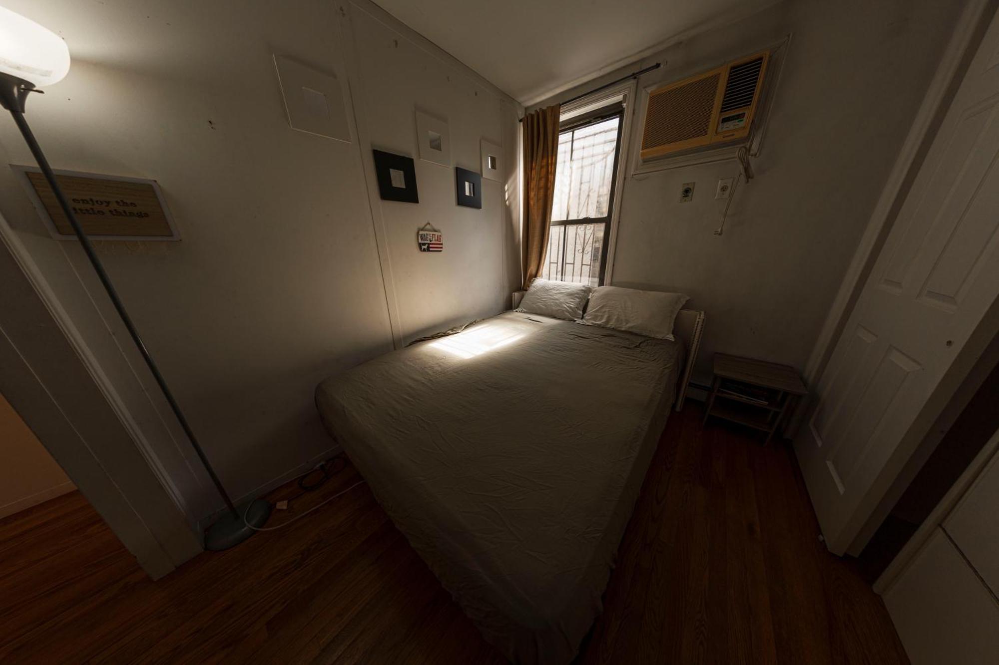 Friendly In Williamsburg Brooklyn New York