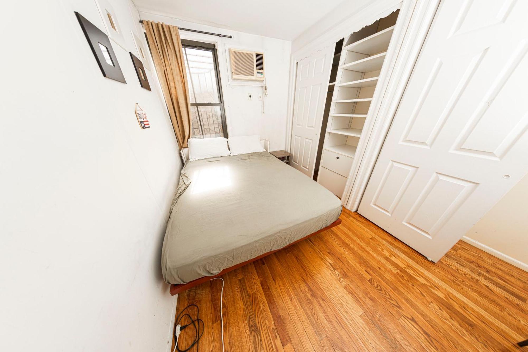 Friendly In Williamsburg Brooklyn *