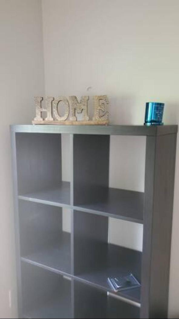 Friendly In Williamsburg Brooklyn New York