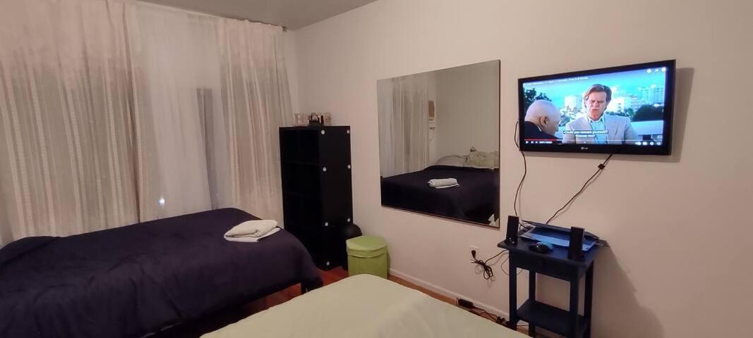 Friendly In Williamsburg Brooklyn * New York