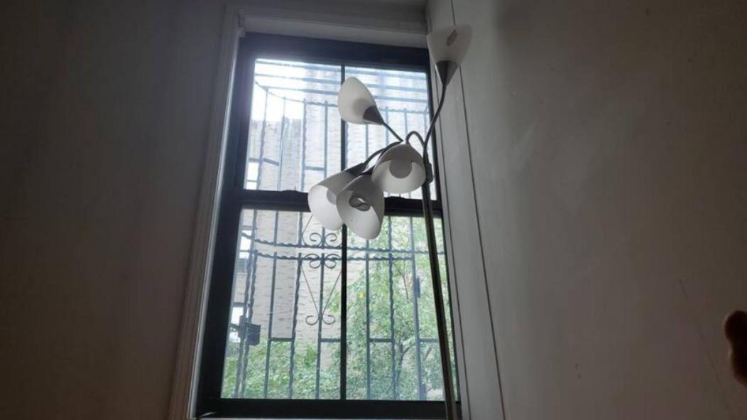 Friendly In Williamsburg Brooklyn * New York