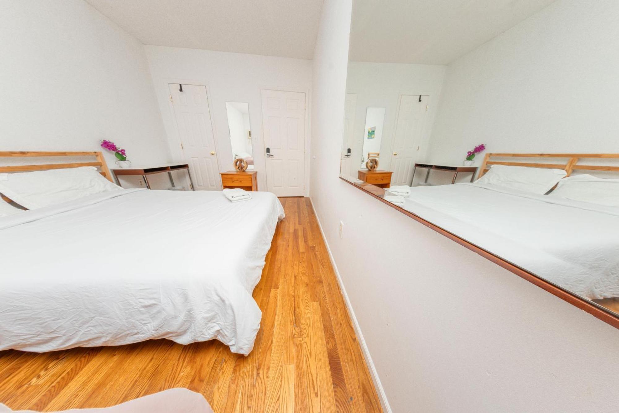 Friendly In Williamsburg Brooklyn