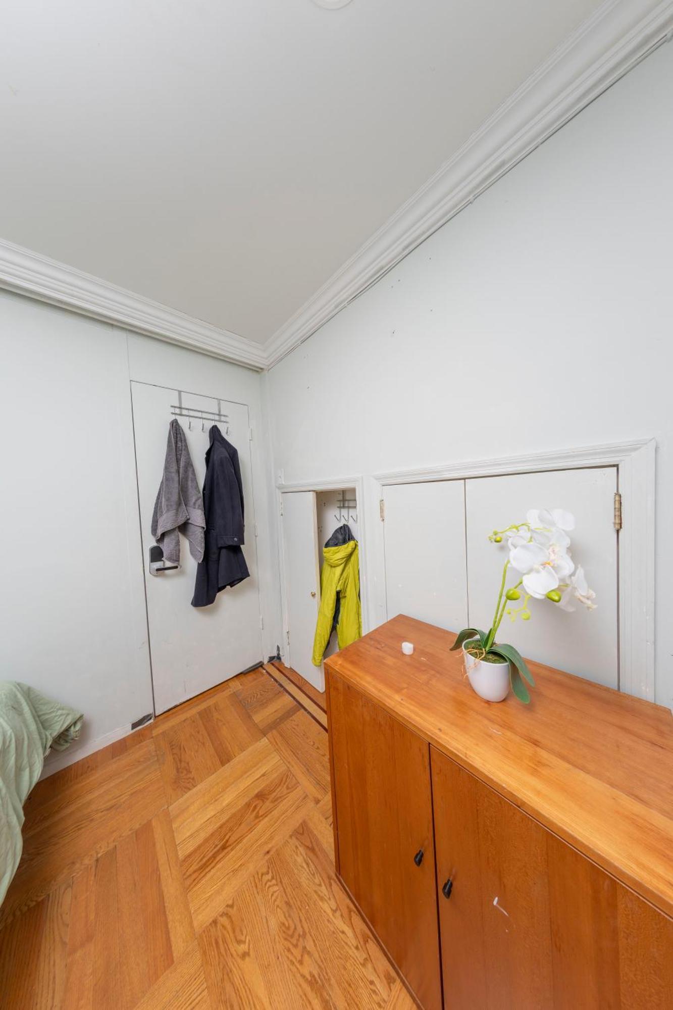 Friendly In Williamsburg Brooklyn * New York