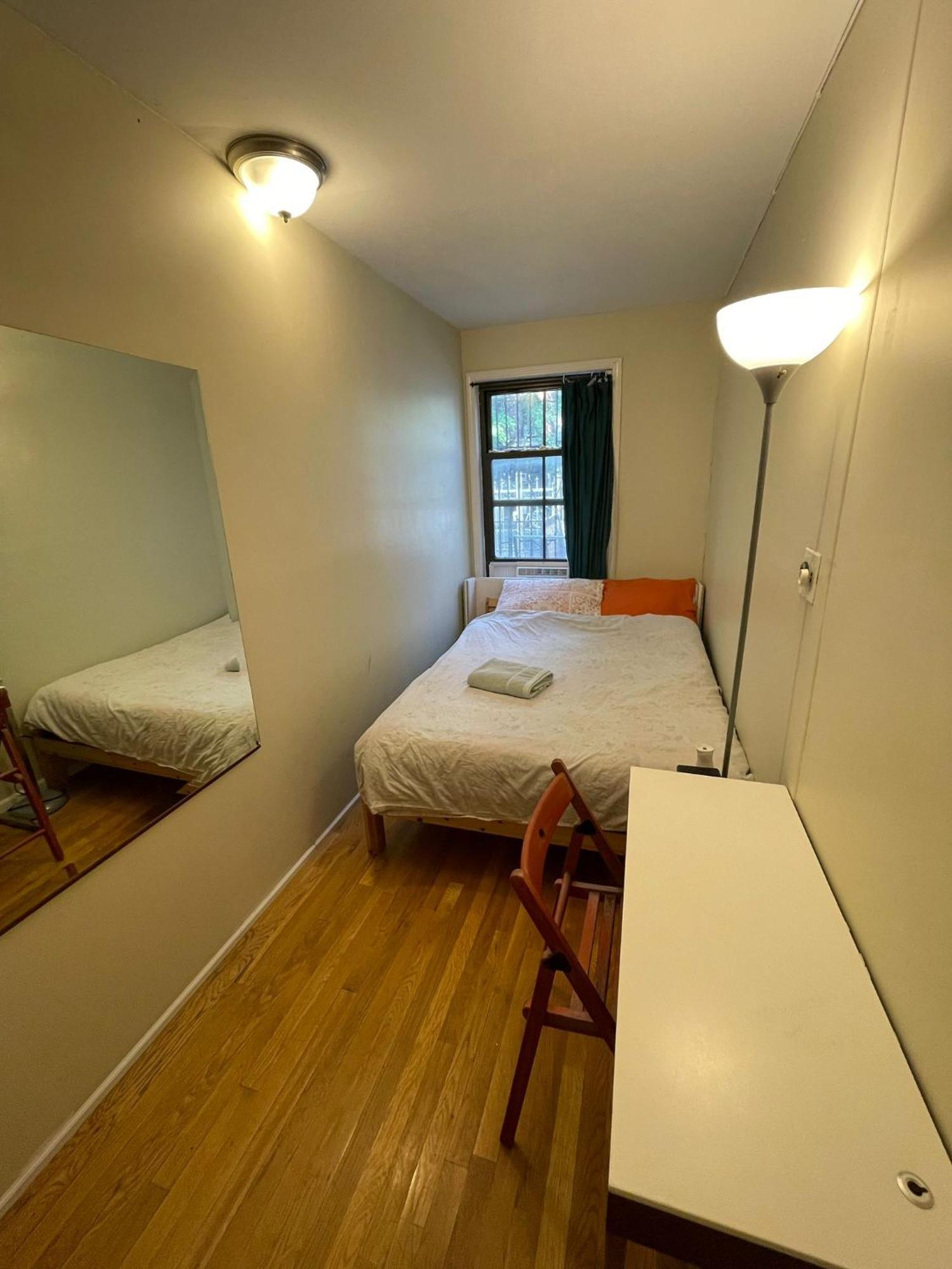 Friendly In Williamsburg Brooklyn New York