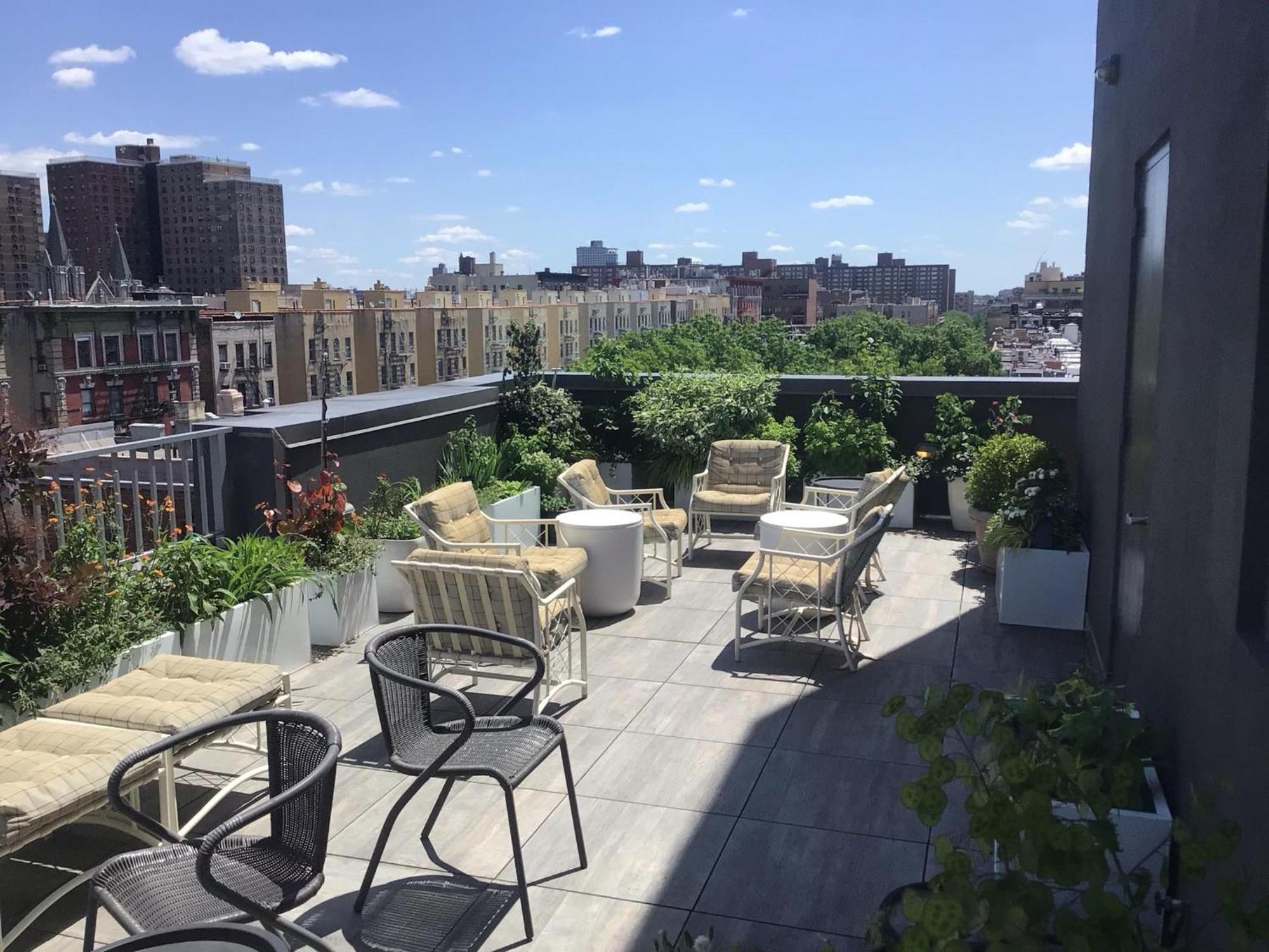 Apartment Large And Luxurious In Strivers Row *