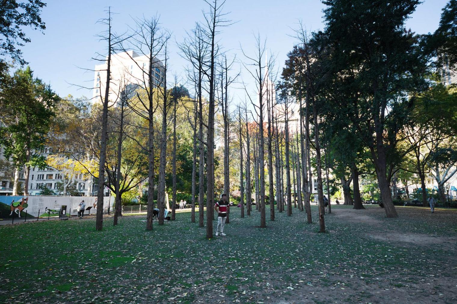 Blueground Chelsea Rooftop Wd Nr High Line Nyc-1636
