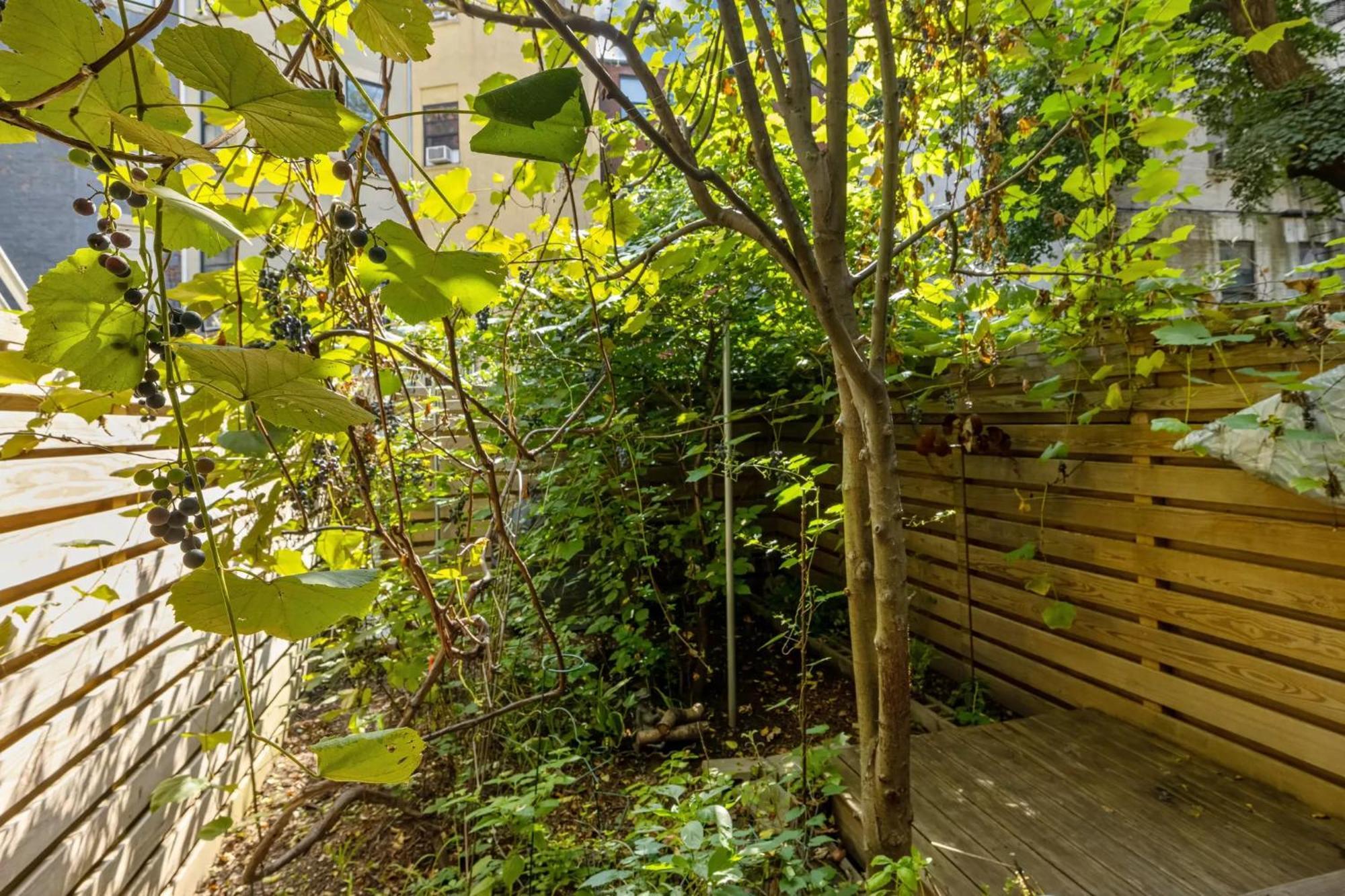 Northern Lights Mansion New York