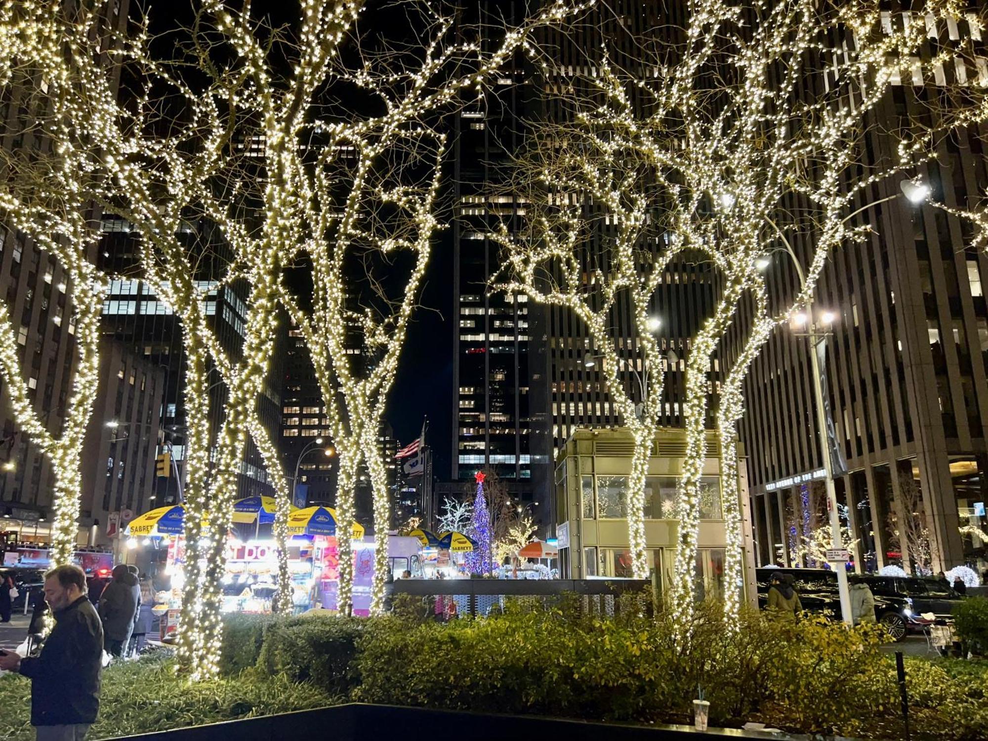 Moon Lotus Abode Homestay New York