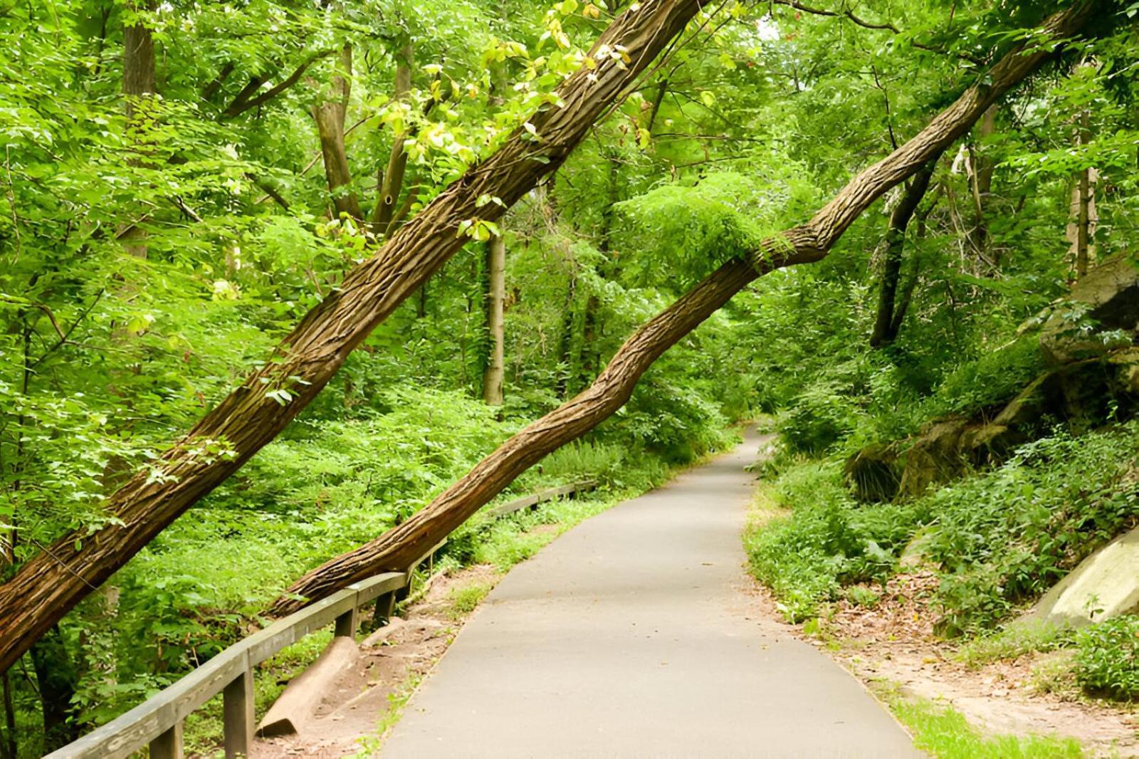 Apartment Elite Brooklyn Living With Premiere Amenities *