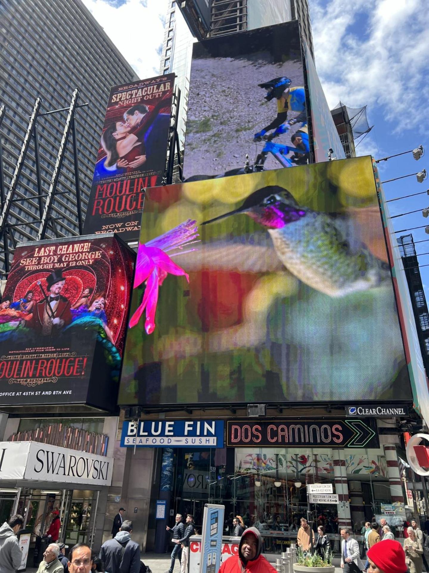 Share Historic Brownstone With The Host! Guest house *