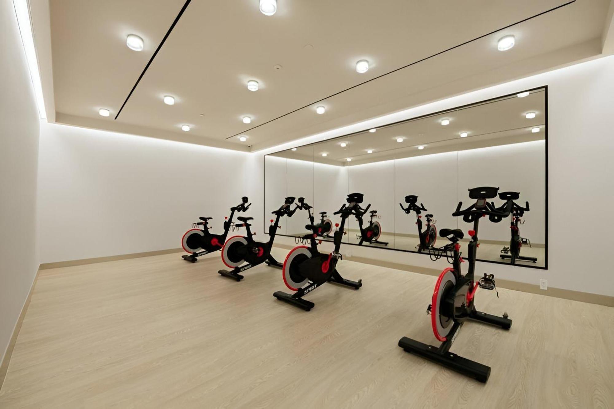 Apartment Elite Brooklyn Living With Premiere Amenities *