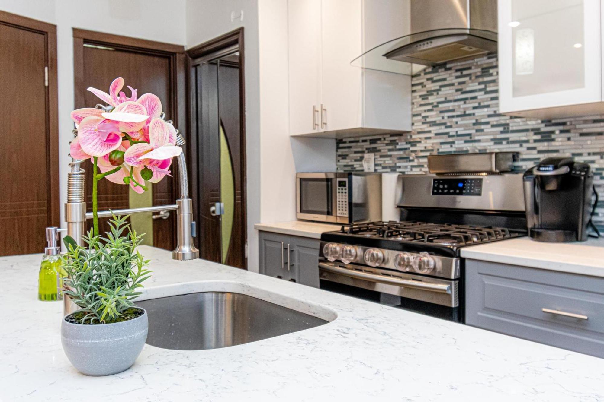 Luxury In The Heart Of Brooklyn Appartement New York