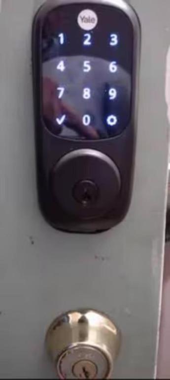 Homestay Friendly In Williamsburg Brooklyn New York