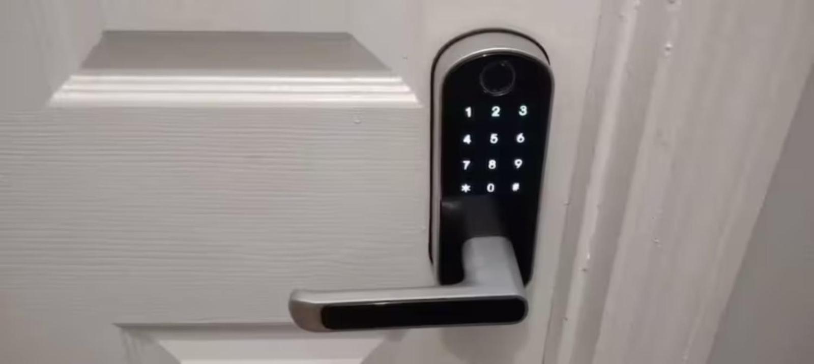 Homestay Friendly In Williamsburg Brooklyn *