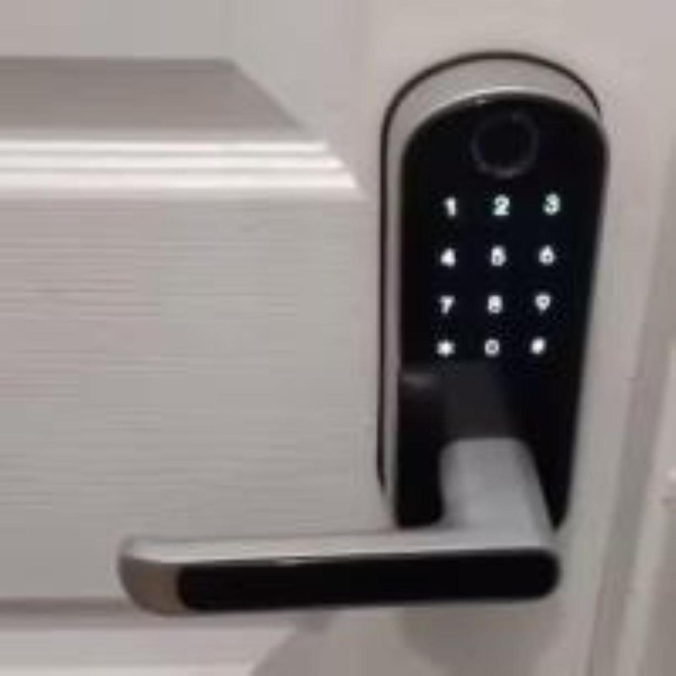 Friendly In Williamsburg Brooklyn * New York