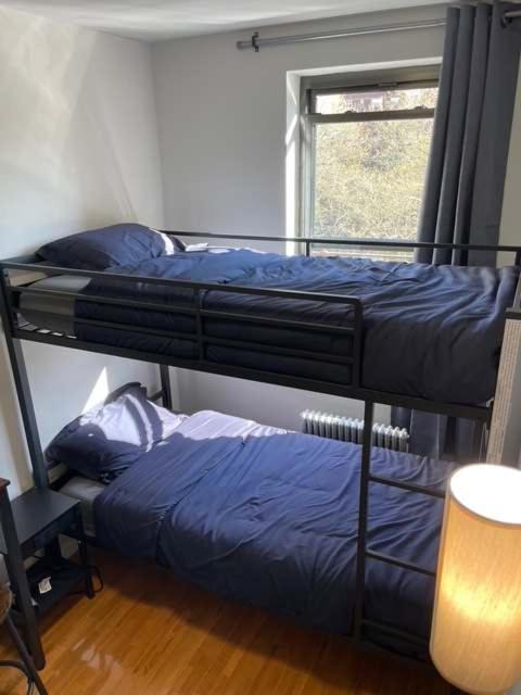 Chelsea 5 - Shared Bathroom - 5th Floor Walk Up Apartment