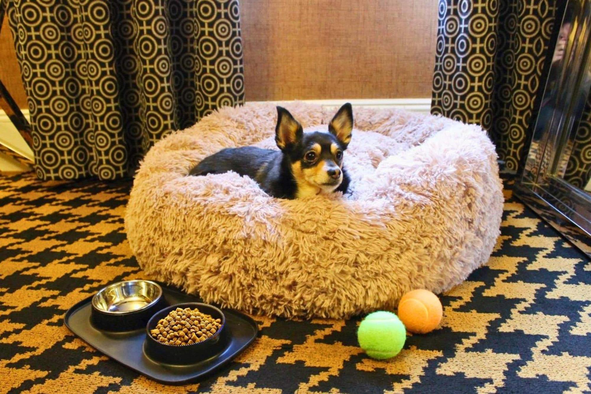 Hotel Ameritania At Times Square