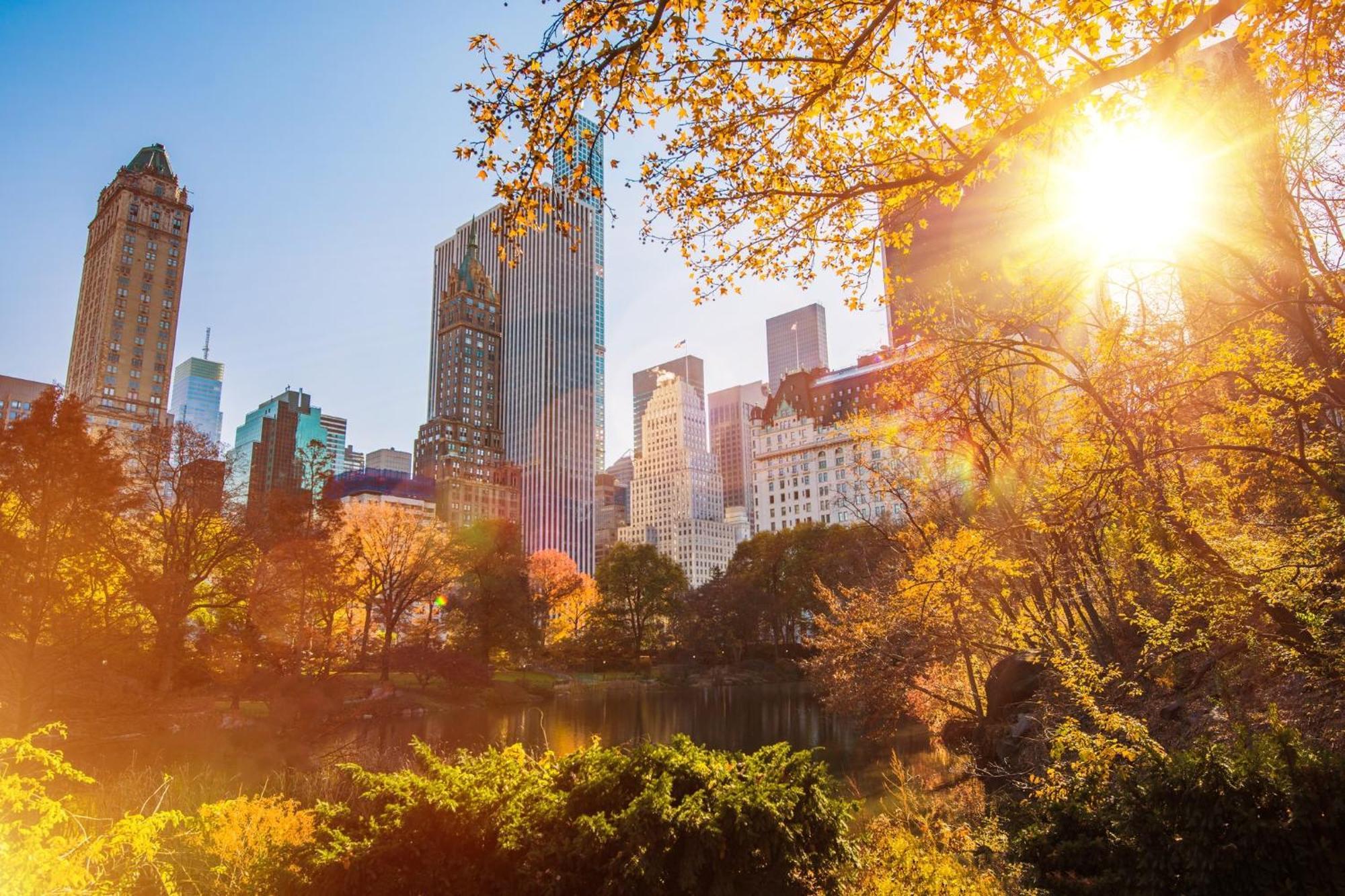 Even Long Island - By Ihg Hotel New York