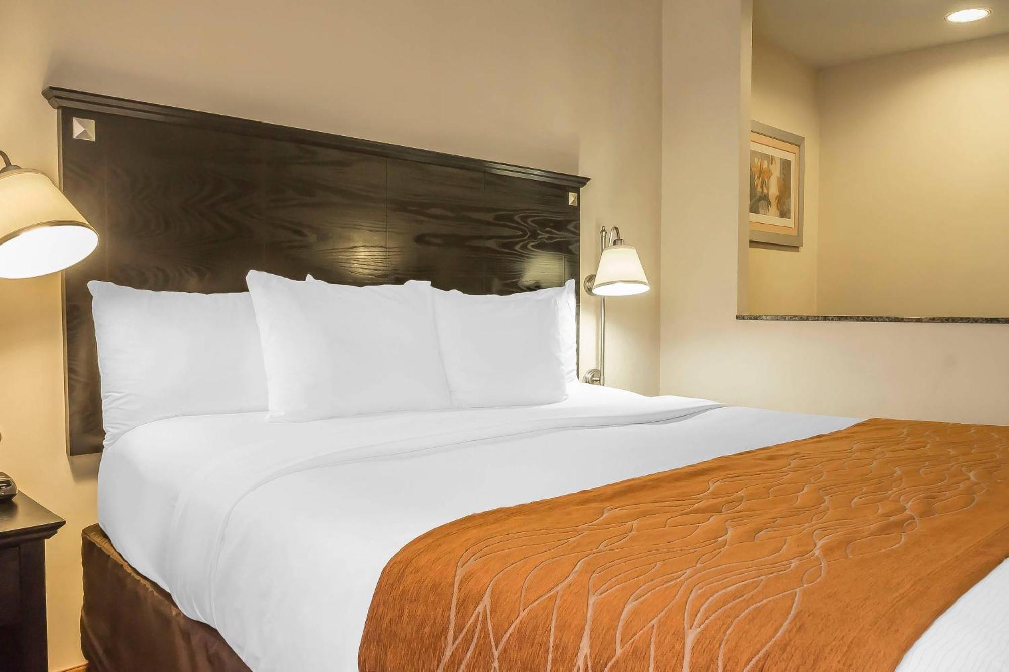 Comfort & Laguardia Airport Hotel