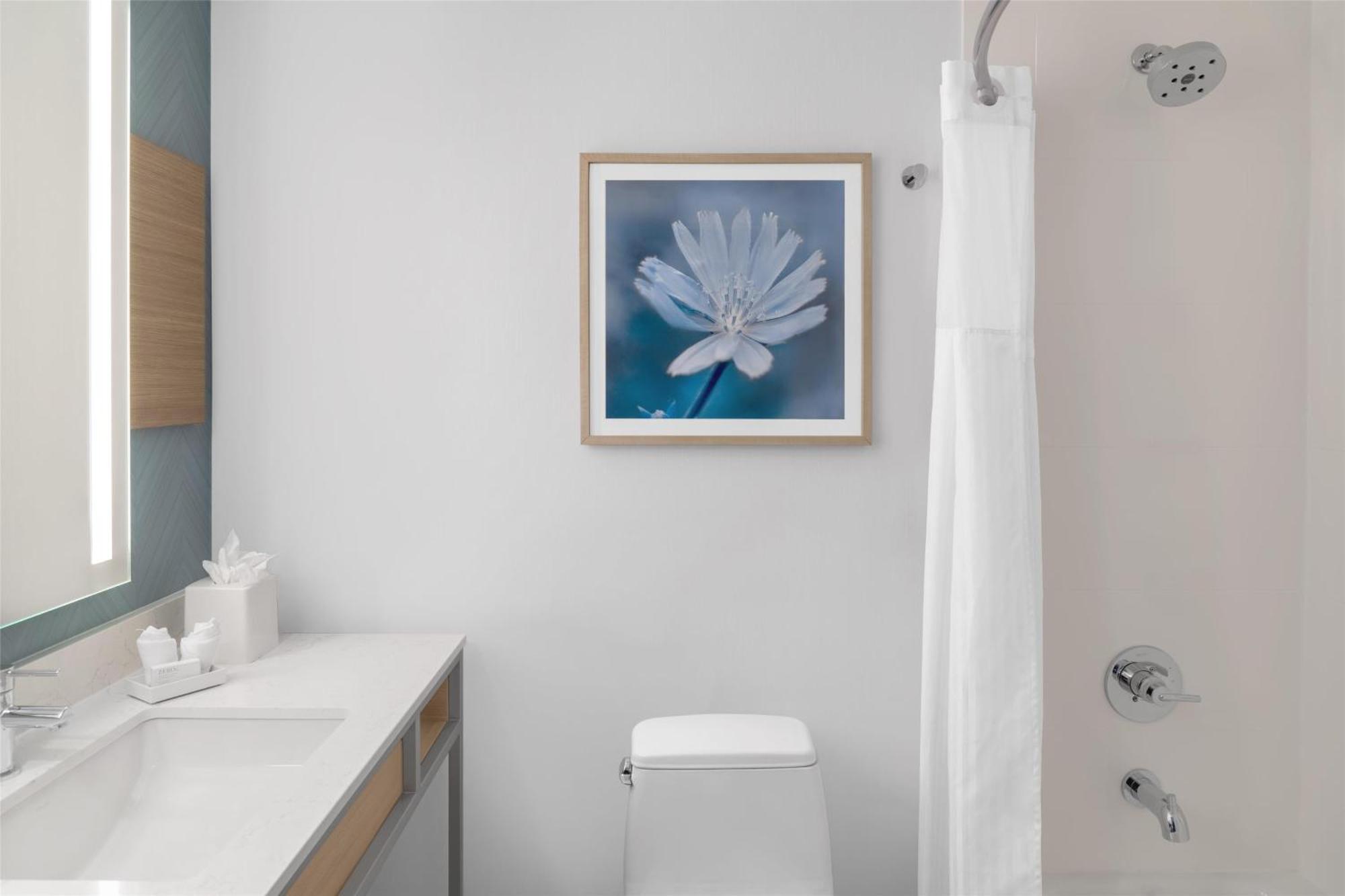 Hotel Hilton Garden Queens Jfk New York