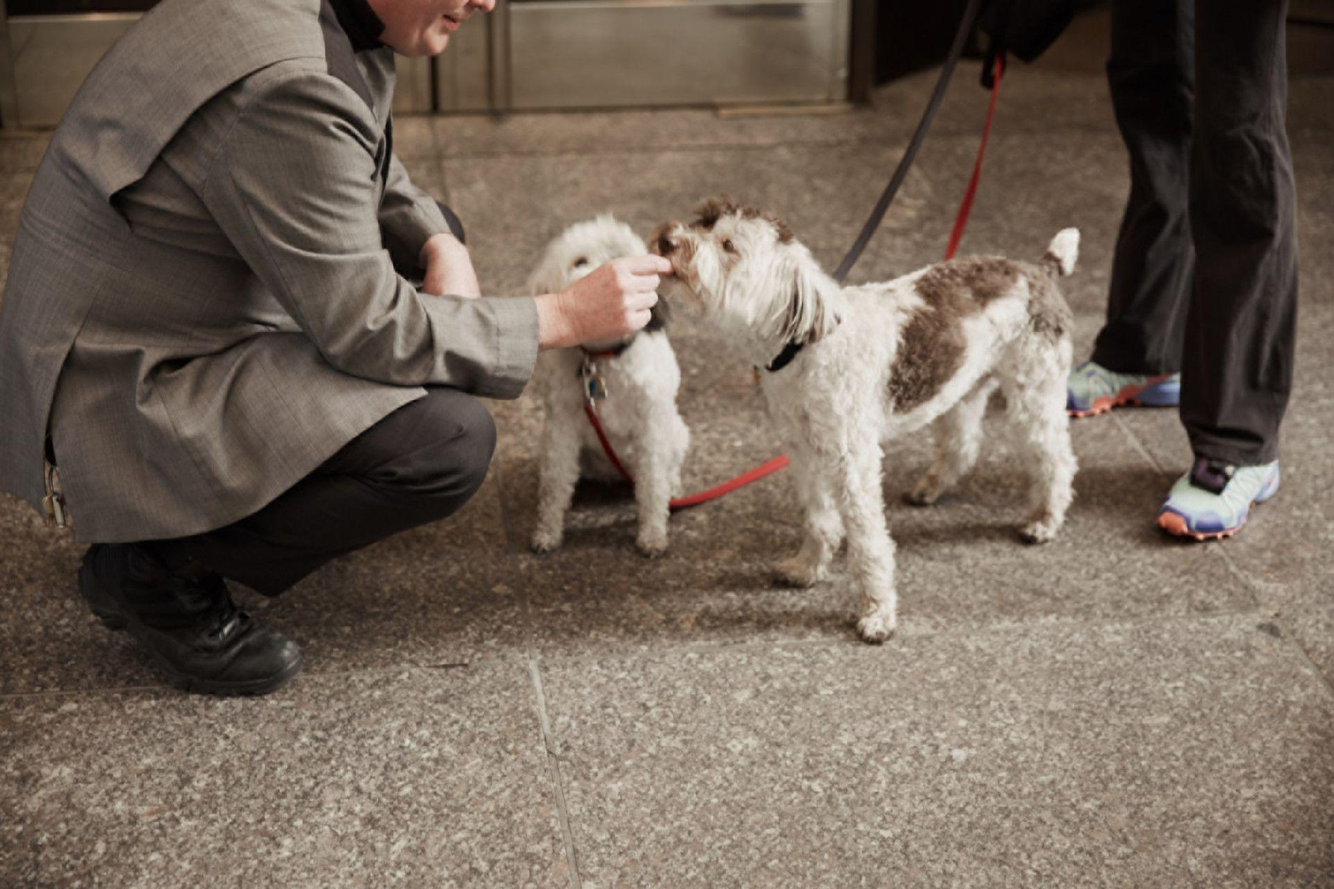 Four Seasons New York