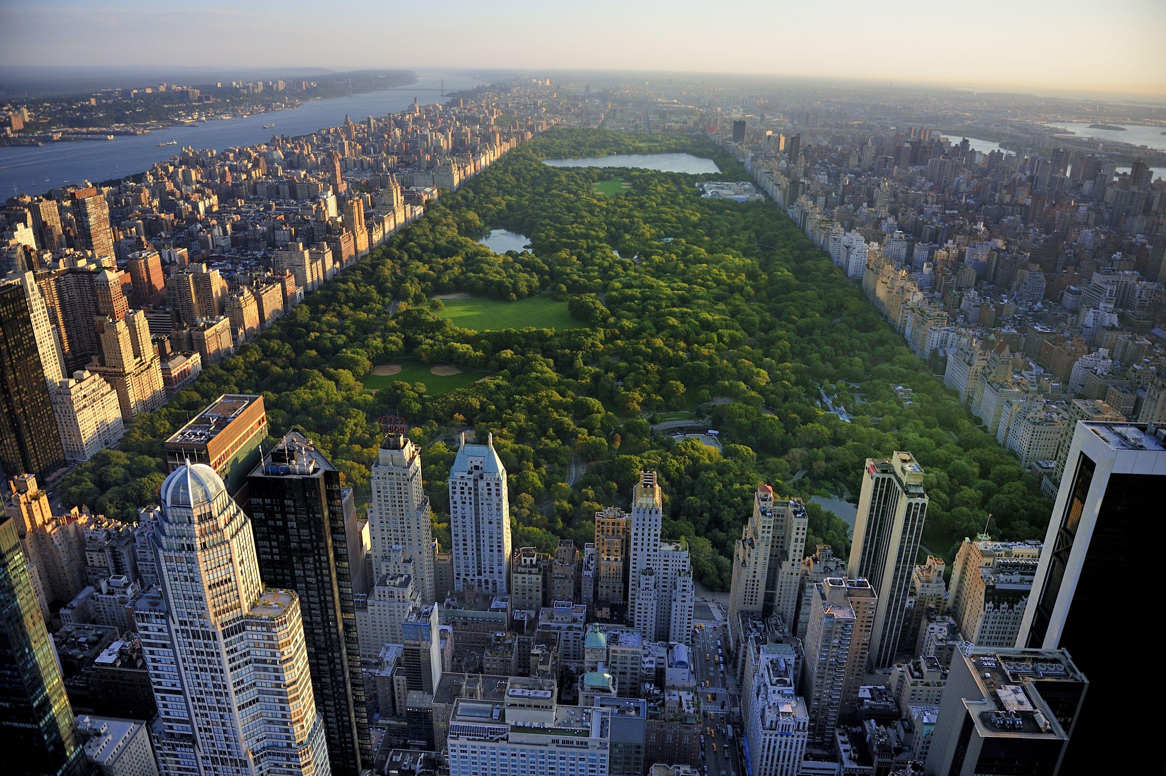 Hotel Hilton Midtown 4*